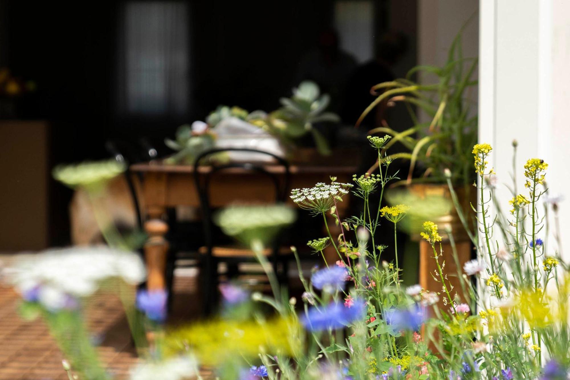 Bed And Breakfast Canalgrande Mira Luaran gambar